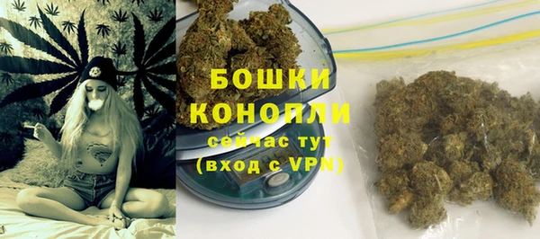 крисы Баксан