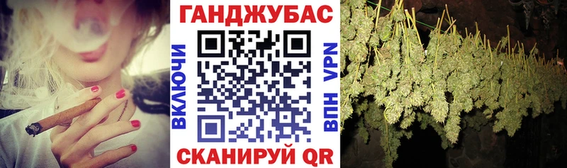 как найти   Зуевка  МЕГА ТОР  Каннабис семена 